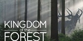Šumsko kraljevstvo