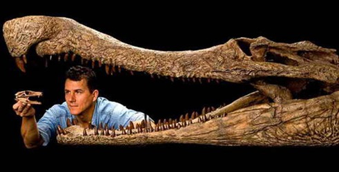 Kad su krokodili jeli dinosaure