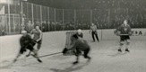 O hokeju i Medvedima