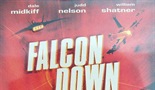 Falconov pad
