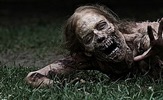ABC naručio već i drugu sezonu serije 'The Walking Dead'