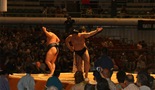 Konačni sraz sumo-boraca