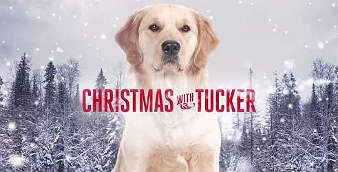 Božić s Tuckerom
