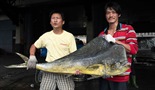 Tajvan: ostrvo ribe
