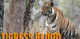 Krv tigrica