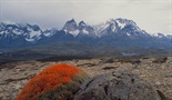 Bojišnica Patagonije