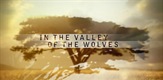 Dolina vukova