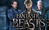 Zbog virusa odloženo snimanje filma "Fantastic Beasts 3"
