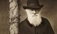 Preispitivanje Darwina