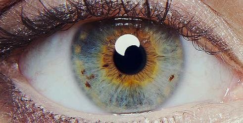 Poreklo očiju