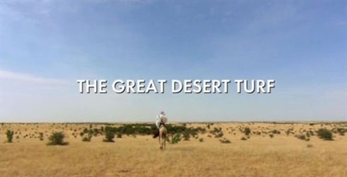 Great Desert Turf