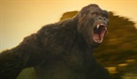 Kong: Otok lubanja