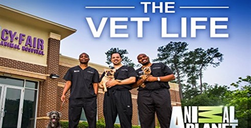 Život veterinara