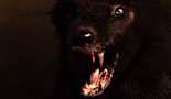 Monsterwolf