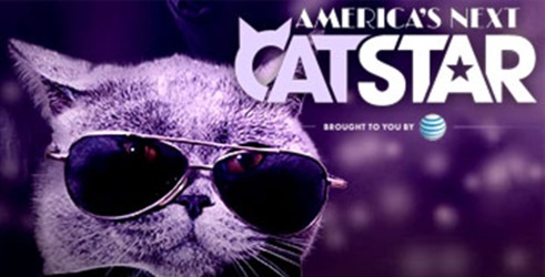 Mačke - Nova američka zvezda