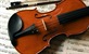 Dinarski javor i cremonska violina