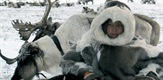 Becoming a Man in Siberia
