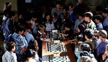 Iskanje Bobbyja Fischerja