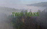 Poslednja sezona serije "Twin Peaks"