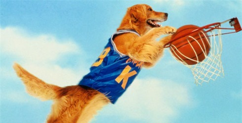Air Bud, košarkaška zvijezda
