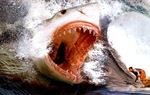 Napad morskog psa