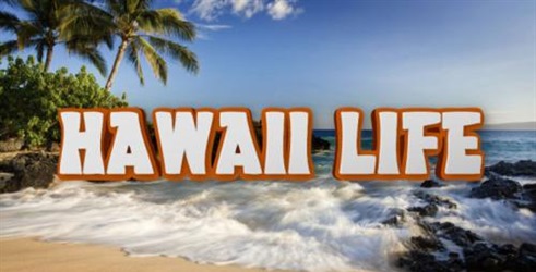 Hawaii Life