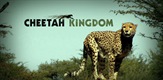 Carstvo geparda