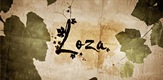 Loza