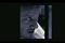 VIDEO: Novi "Bourne legacy" bez Matta Damona