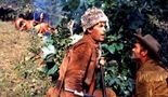 Davy Crockett - kralj divlje granice