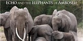 Echo i slonovi Amboselija