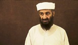 Lov na Bin Ladena