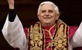 Video: Poludjela žena oborila Papu i francuskog kardinala