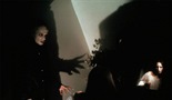 Nosferatu: Fantom noći