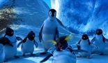Ples malog pingvina
