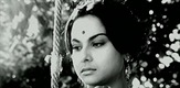 THE LONELY WIFE / CHARULATA