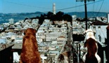 HOMEWARD BOUND II: LOST IN SAN FRANCISCO