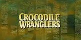 Dreseri krokodila