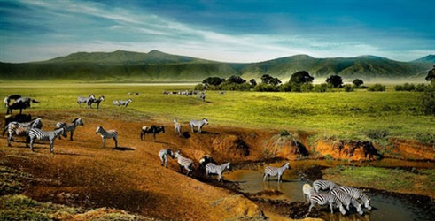 Ngorongoro: Afrička kolijevka života