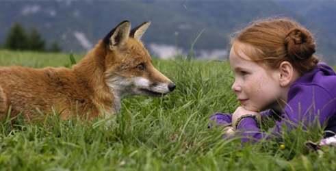 Lisica i djevojčica
