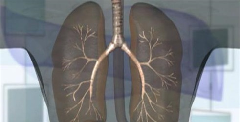 Saznajte sve o astmi na The Medical Channelu