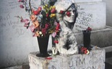 Jim Morrison, kanadski lutkari i street art festivali