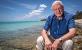 Legendarni David Attenborough otkriva tajne koje skriva Veliki koraljni greben
