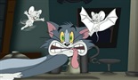 Tom i Jerry priče