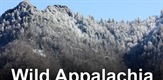 Divljina Appalachije